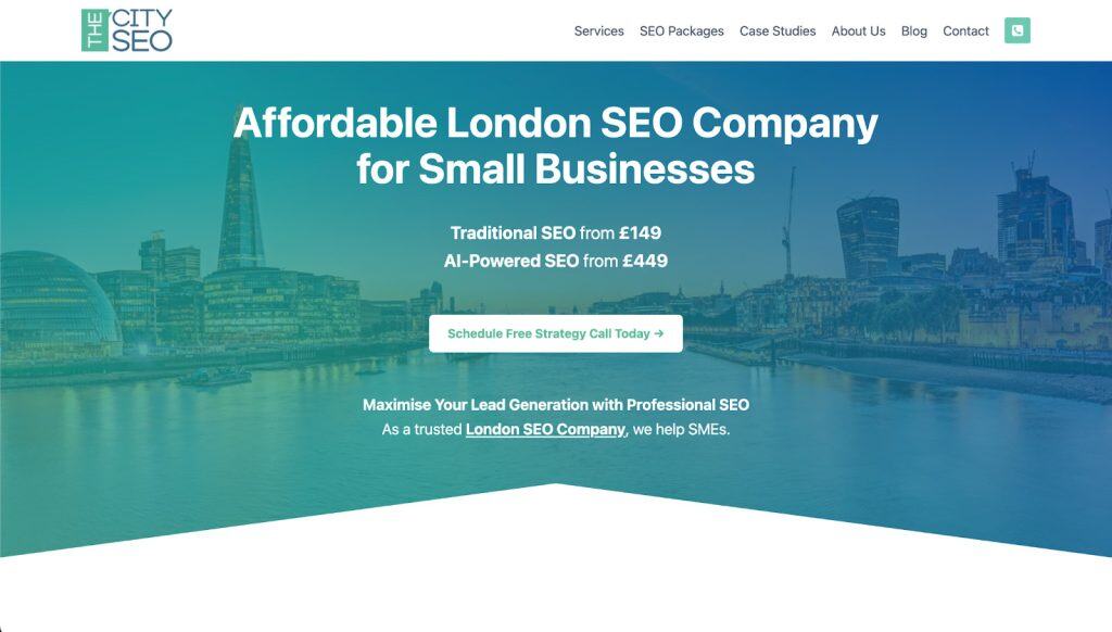 Affordable SEO screen grab highlighting offering for small business  - The City SEO company 